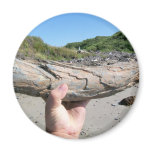 mammoth tusk refrigerator magnet