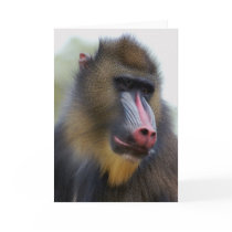 Man Alone cards by ApeArt Man Alone cards