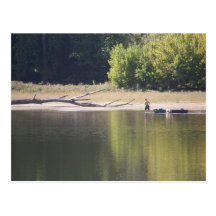 Man, Canoe, Dog, and Driftwood Post Card
