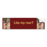 Man in loin cloth Like my rear Bumper Sticker