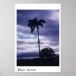 Man In Tree Posters
