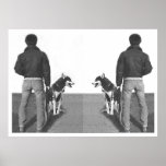 MAN MALAMUTE MIRROR posters