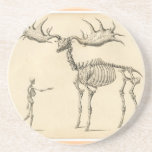 Man & Moose Coasters