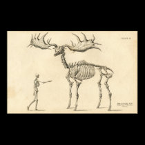 Man & Moose Vintage Poster posters