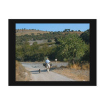 Man on donkey scenic Spanish postcard