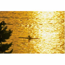 Man Rowing Photo Cutout