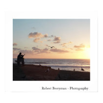 Man with boy feeding gulls at sunset posters