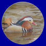 Manadarin-duck-on-water107 plates