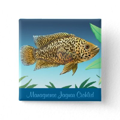 Jaguar Fish