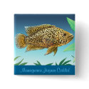 Managuense Jaguar Cichlid Pin buttons