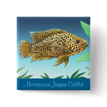 Managuense Jaguar Cichlid Pin buttons