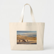 Mañana del país de Colorado de la montaña rocosa Bolsas