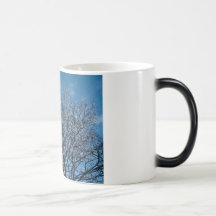 Mañana Frost Tazas De Café
