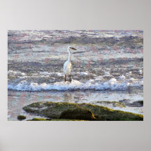 Manasota Egret Poster