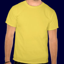 Manatee t-shirts