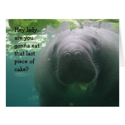 Manatee Birthday Last piece of cake Lady - BIG Greeting Card | Zazzle