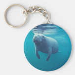 Manatee de la Florida Llavero Personalizado