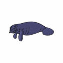 Manatee embroidered shirts by ZazzleEmbroidery Manatee embroidered shirts