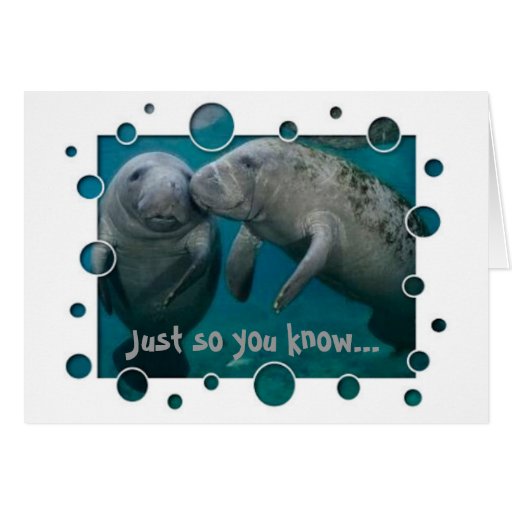 Manatee Love Valentine's Day Greeting Cards | Zazzle