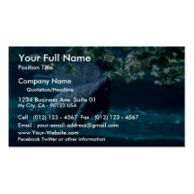 Manatee, Lowry Park Zoo, Tampa Bay, Florida, U.S.A Business Card