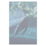Manatee, Lowry Park Zoo, Tampa Bay, Florida, U.S.A Custom Stationery