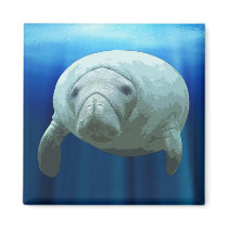 Manatee Magnet