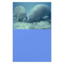 Manatee Moments Stationery