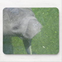 manatee mousepad by ValeriesGallery manatee mousepad
