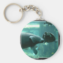 manatee N turtle_10x10 Key Chain