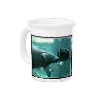 manatee N turtle_12x9 pitchers