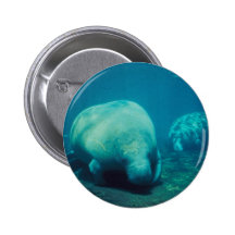 Manatee Photo Round Button