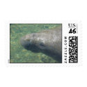 Manatee postage by Blanche4 Manatee postage