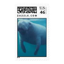 Manatee Postage Stamp