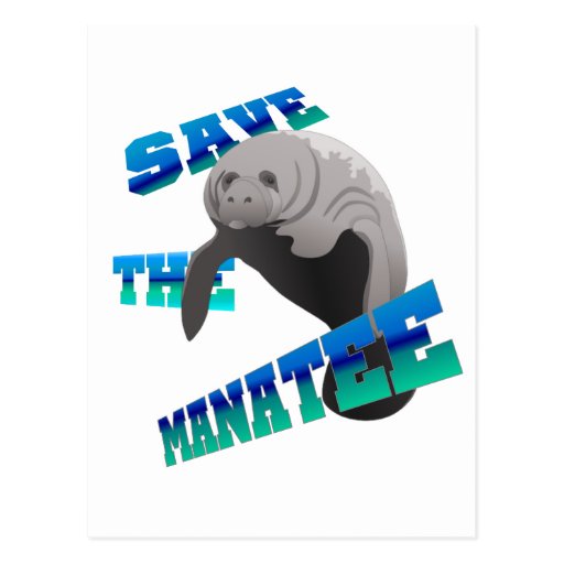 Manatee Postcards