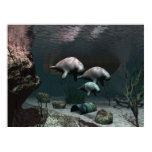 Manatee poster