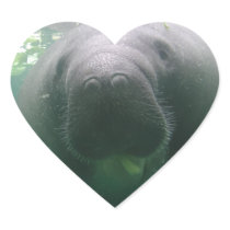 Manatee Raspberry heart stickers