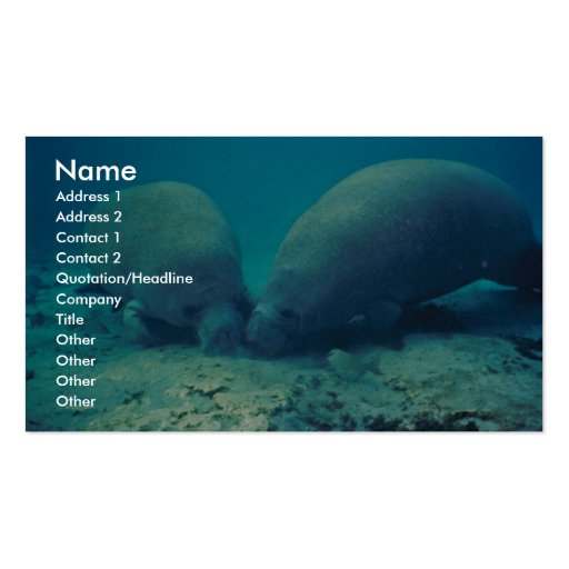 Manatee Rooting in Sand Business Card
