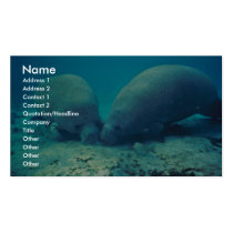 Manatee Rooting in Sand business cards