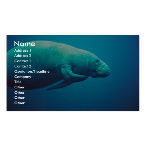 Manatee Scratching Business Card (front side)
