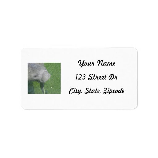 Manatee Smiles Address Label