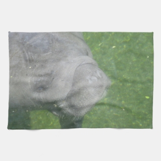 Manatee Smiles
