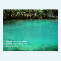 Manatee Springs Postcard postcards