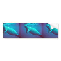 Manatee Surfacing to Breathe Bumper Sticker