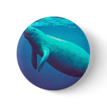 Manatee Surfacing to Breathe Pinback Button