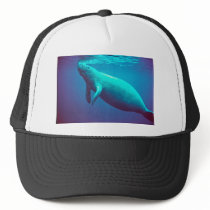 Manatee Surfacing to Breathe Hats