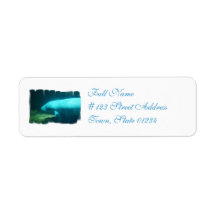 Manatee Swim Mailing Labels