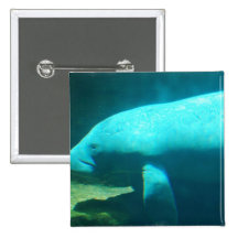 Manatee Swimming Button
