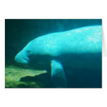 Manatee Swimming Greeting Card