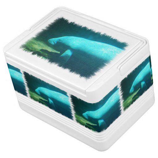 Igloo Regeneration Fund Igloo