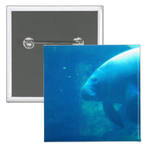 Manatee Underwater Pin